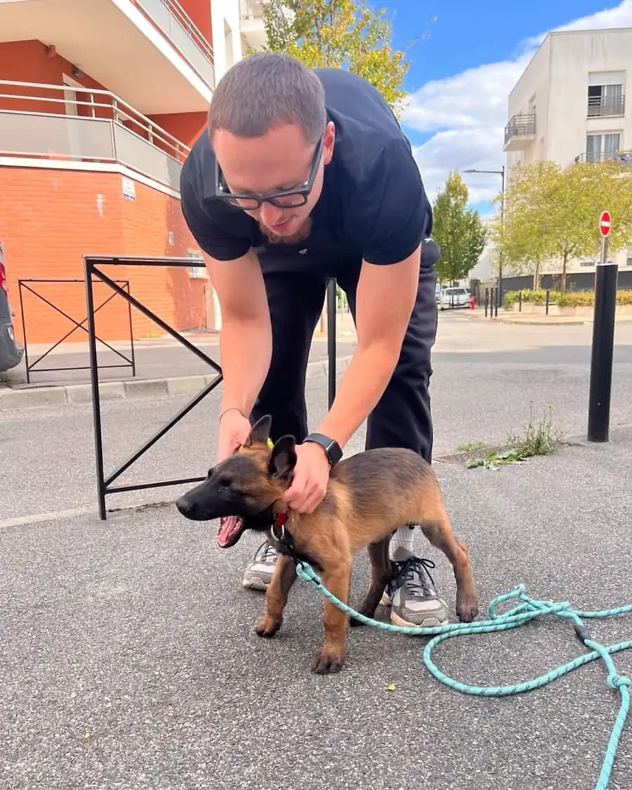 Le promeneur de Dog Aventure penché sur un chiot malinois en longe, au pied d’un immeuble