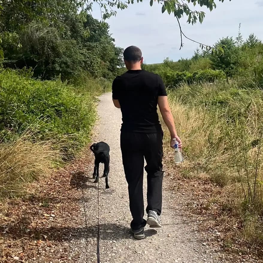 Un promeneur de Dog Aventure de dos sur un chemin de campagne, un chien noir trottinant devant lui