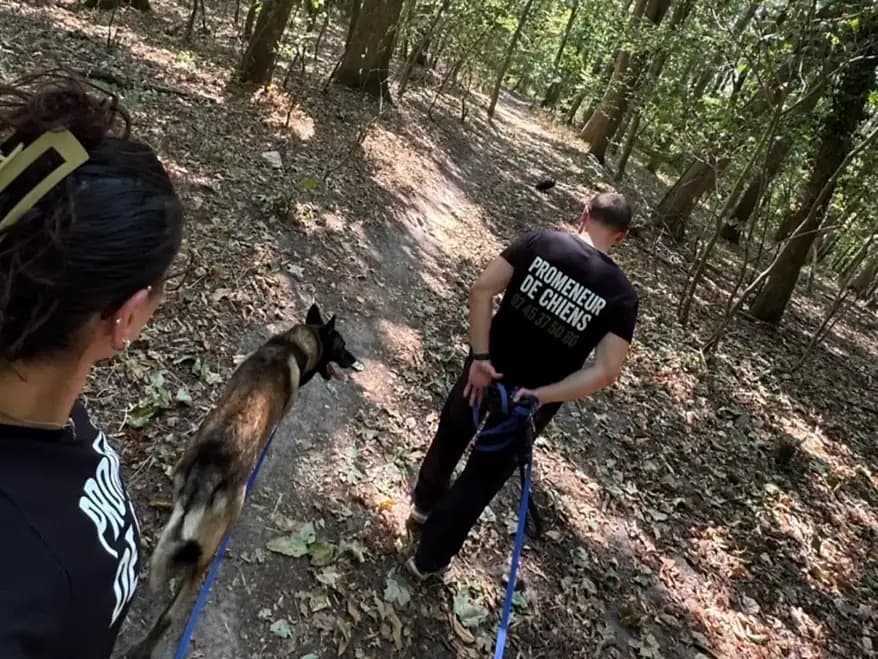 Vue depuis l’épaule d’une promeneuse de Dog Aventure : son collègue et un malinois en longe descendent un sentier en sous-bois