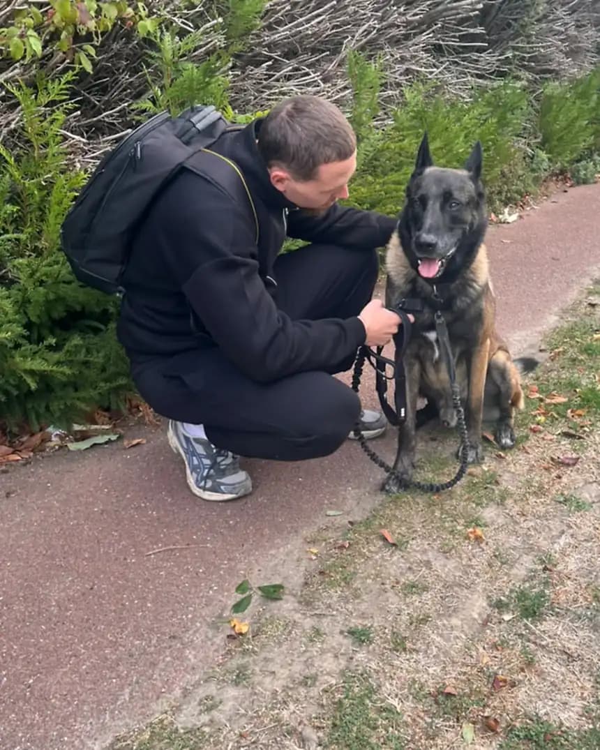 Le promeneur de Dog Aventure accroupi sur un chemin, la main sur le harnais d’un malinois assis qui tire la langue